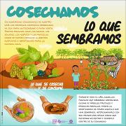 cosechamos-esp.pdf.jpg